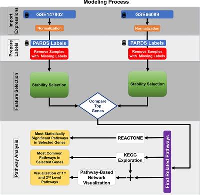 Identification of a pediatric acute hypoxemic respiratory failure signature in peripheral blood leukocytes at 24 hours post-ICU admission with machine learning